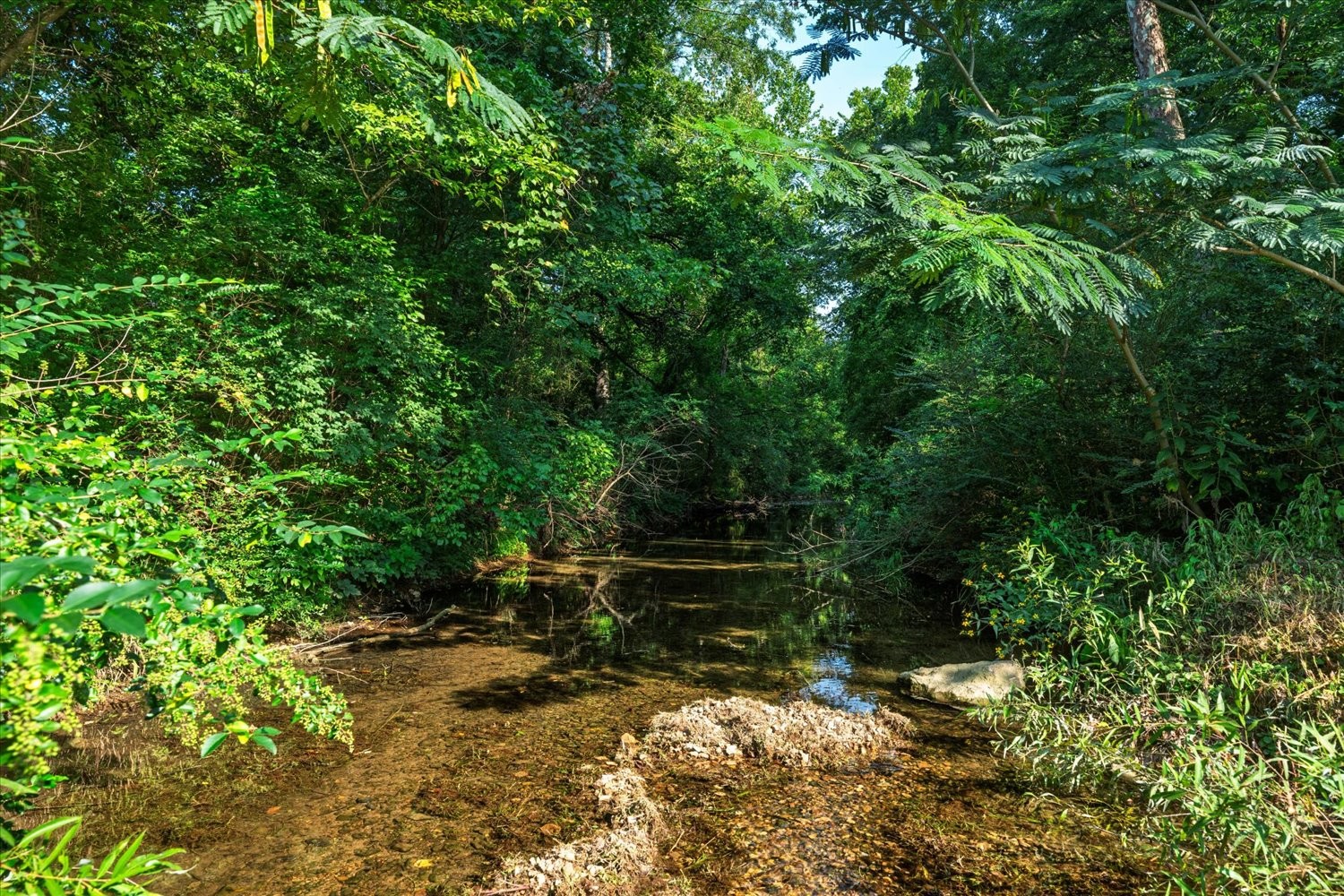 5360 Pond Creek Rd Property Photo 39