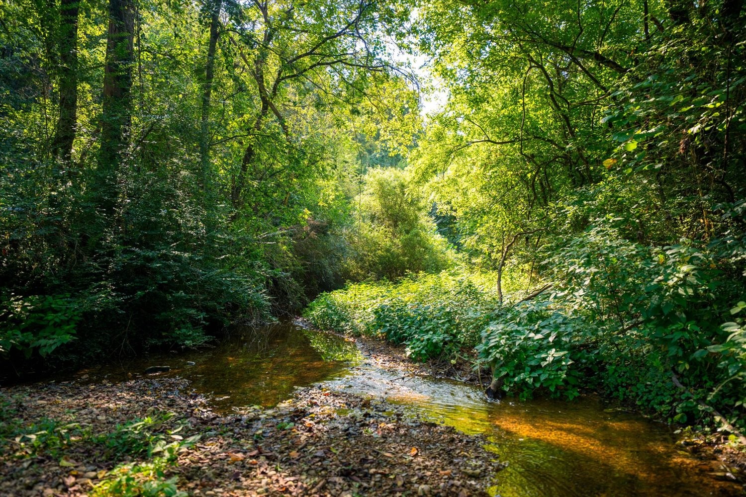 5360 Pond Creek Rd Property Photo 49