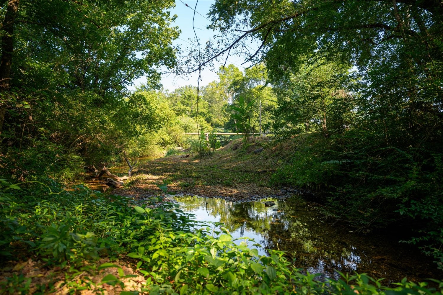 5360 Pond Creek Rd Property Photo 50