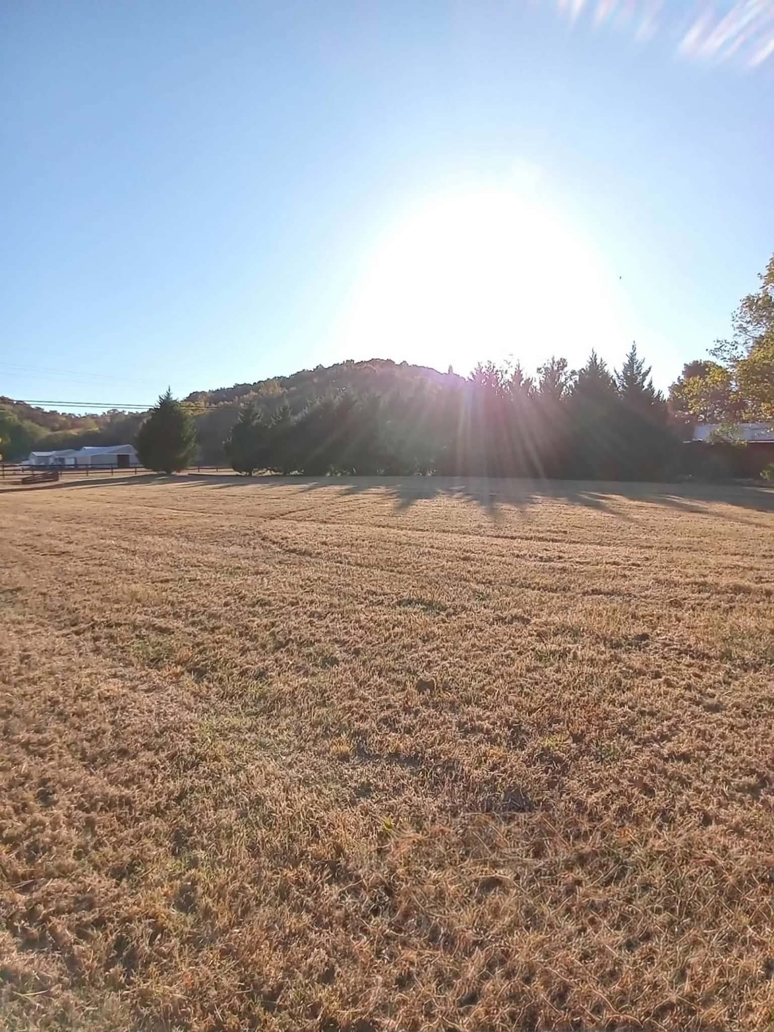 5360 Pond Creek Rd Property Photo 94