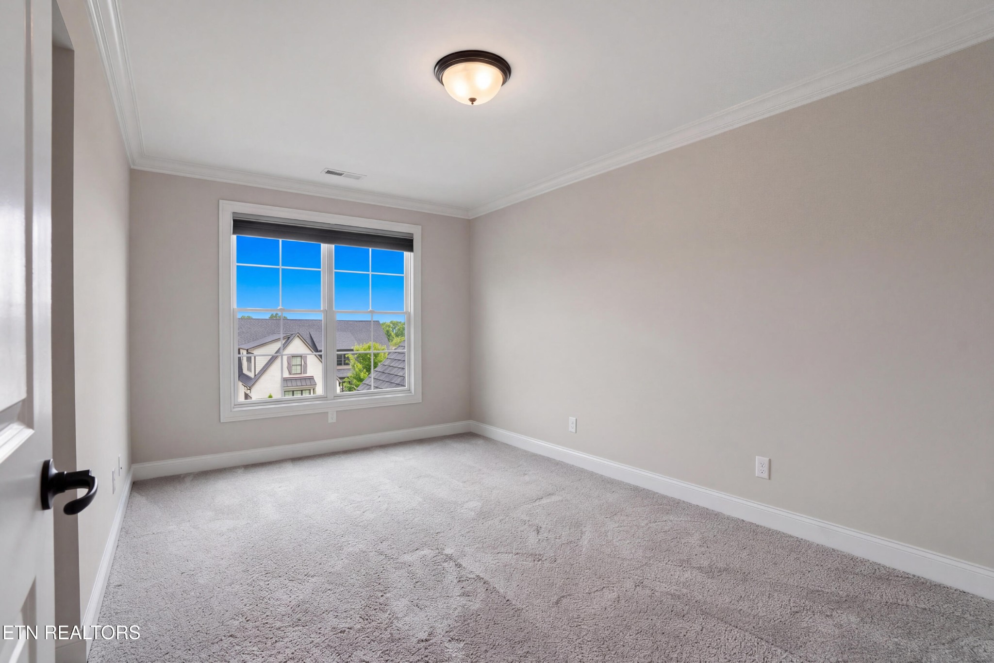 12551 Daisy Field Lane Property Photo 28