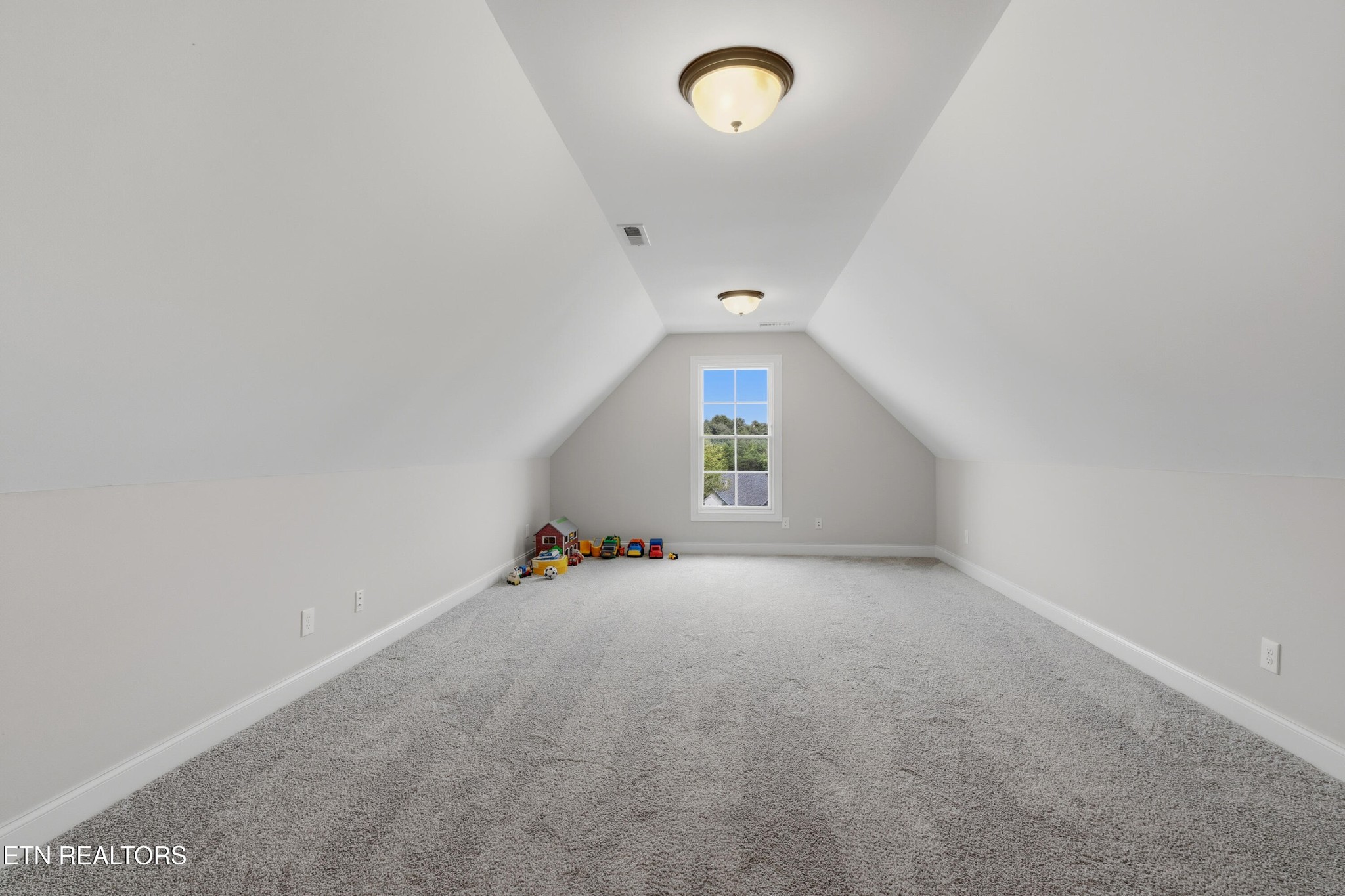 12551 Daisy Field Lane Property Photo 36