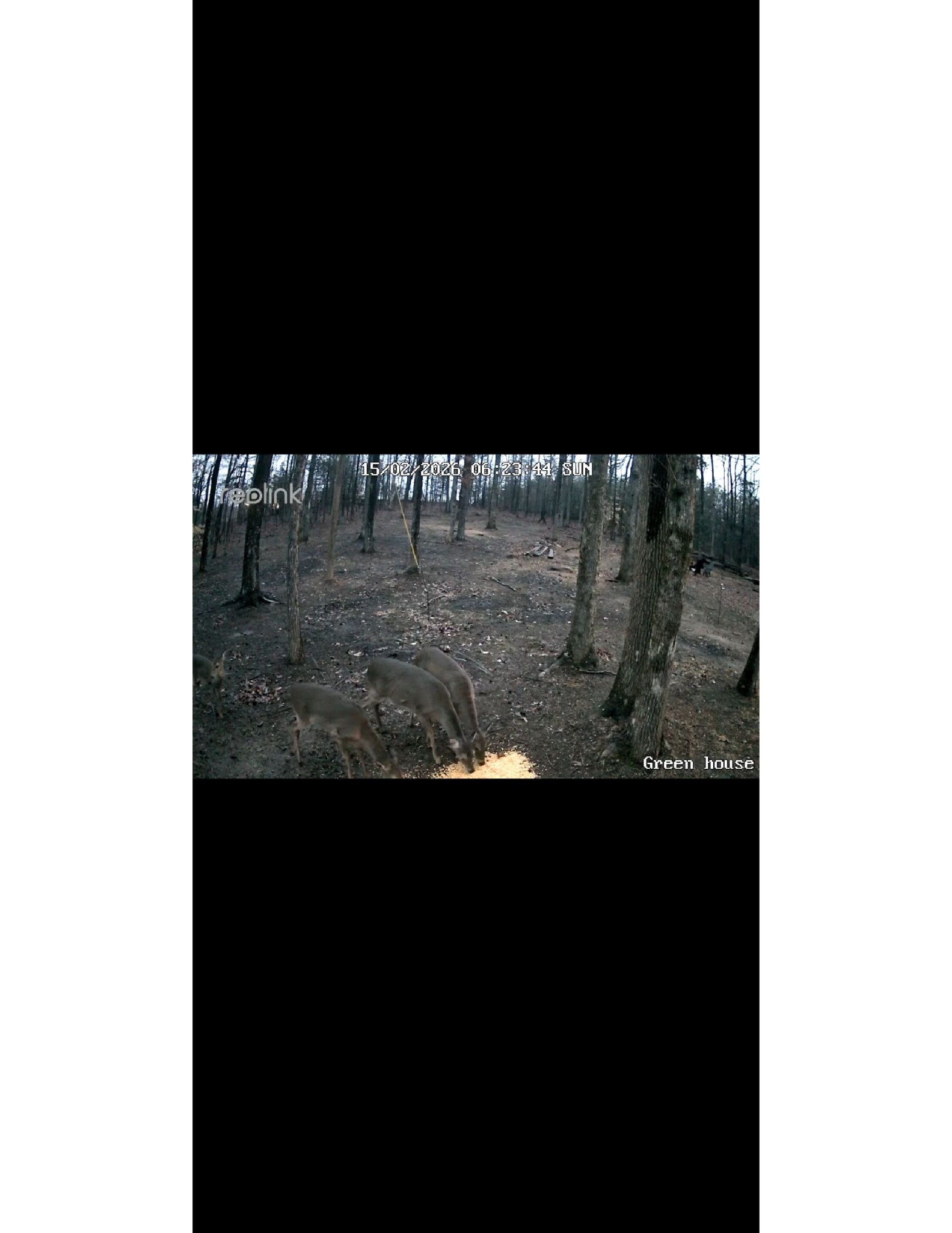 312 Meeks Rd Property Photo 30