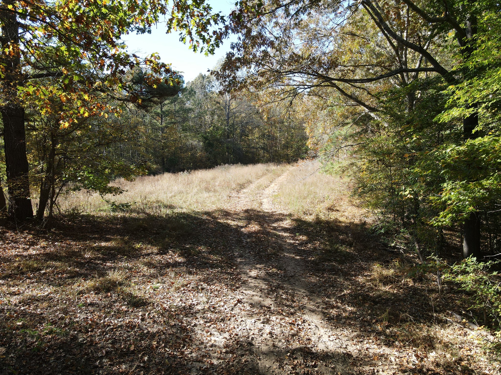 2 Copper Spring Road Property Photo 1