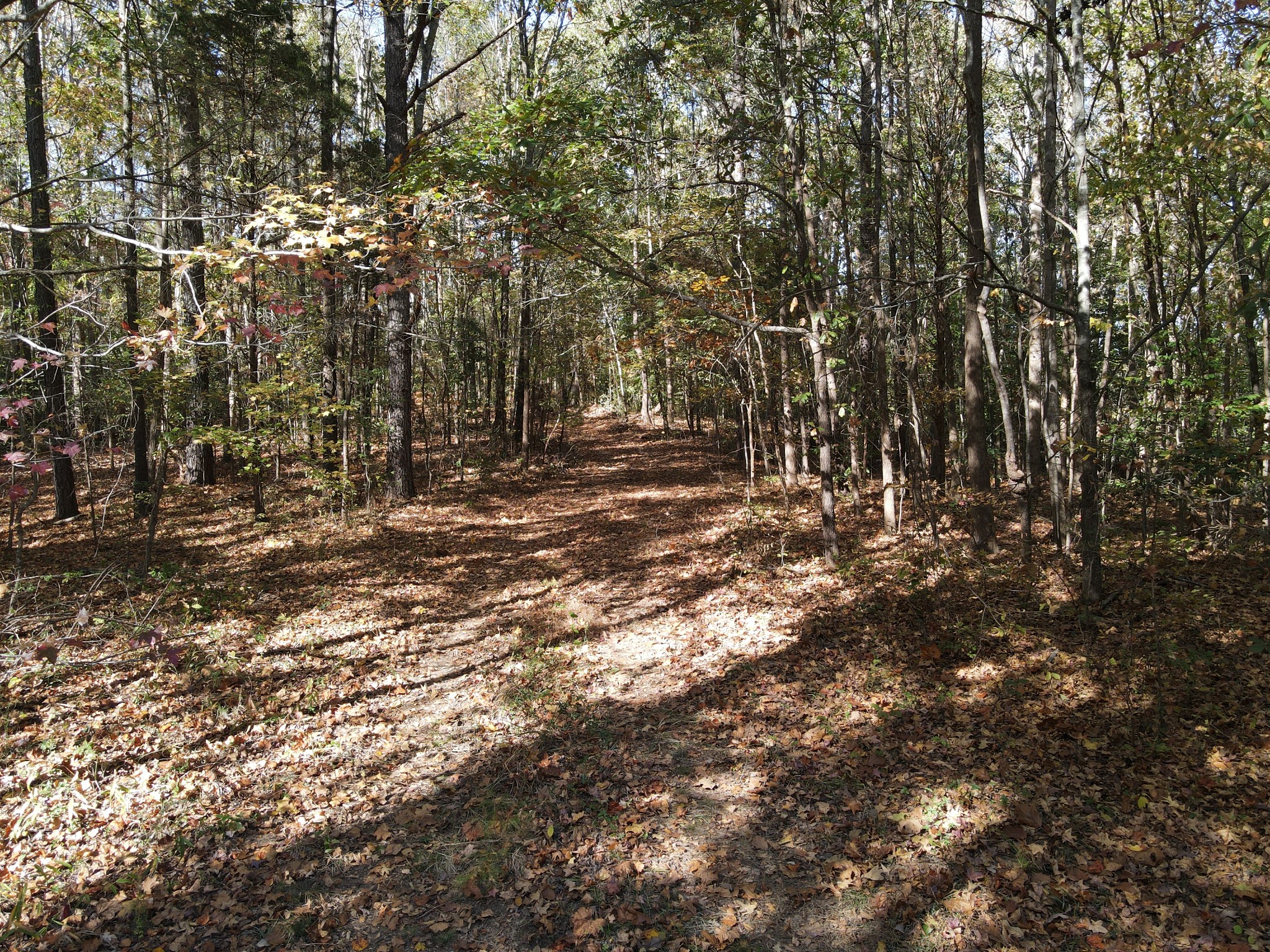 2 Copper Spring Road Property Photo 6