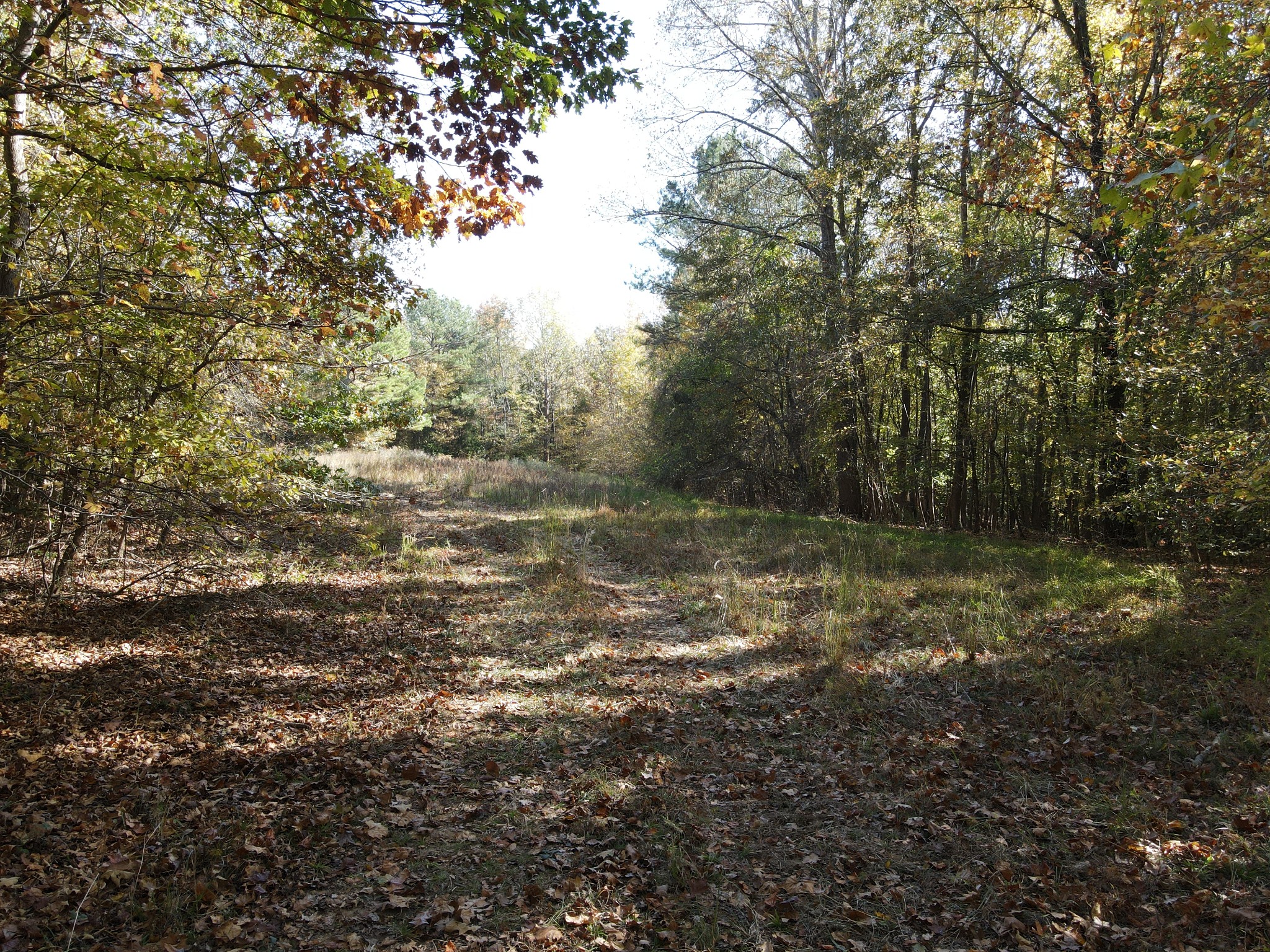 2 Copper Spring Road Property Photo 12