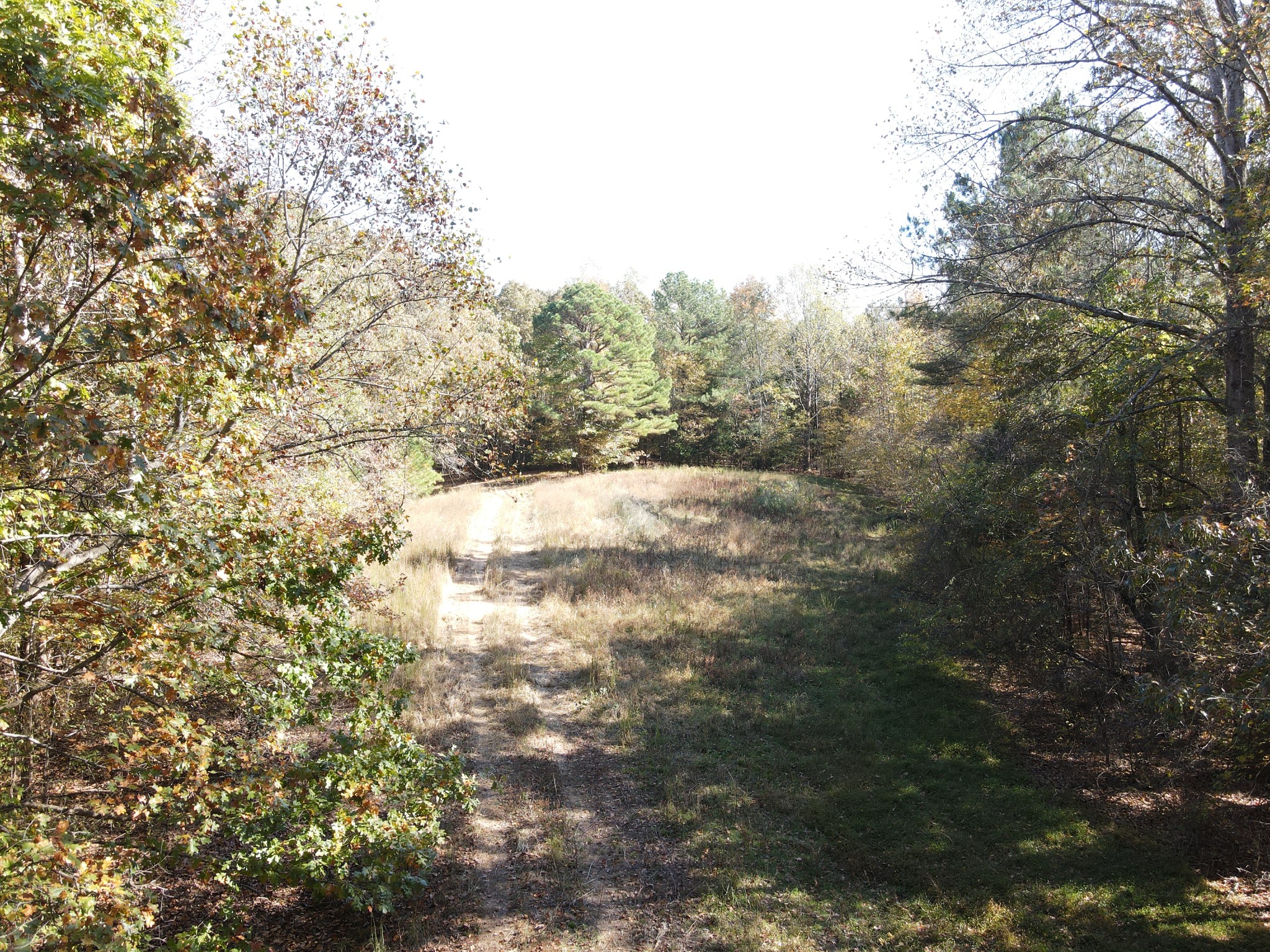 2 Copper Spring Road Property Photo 13