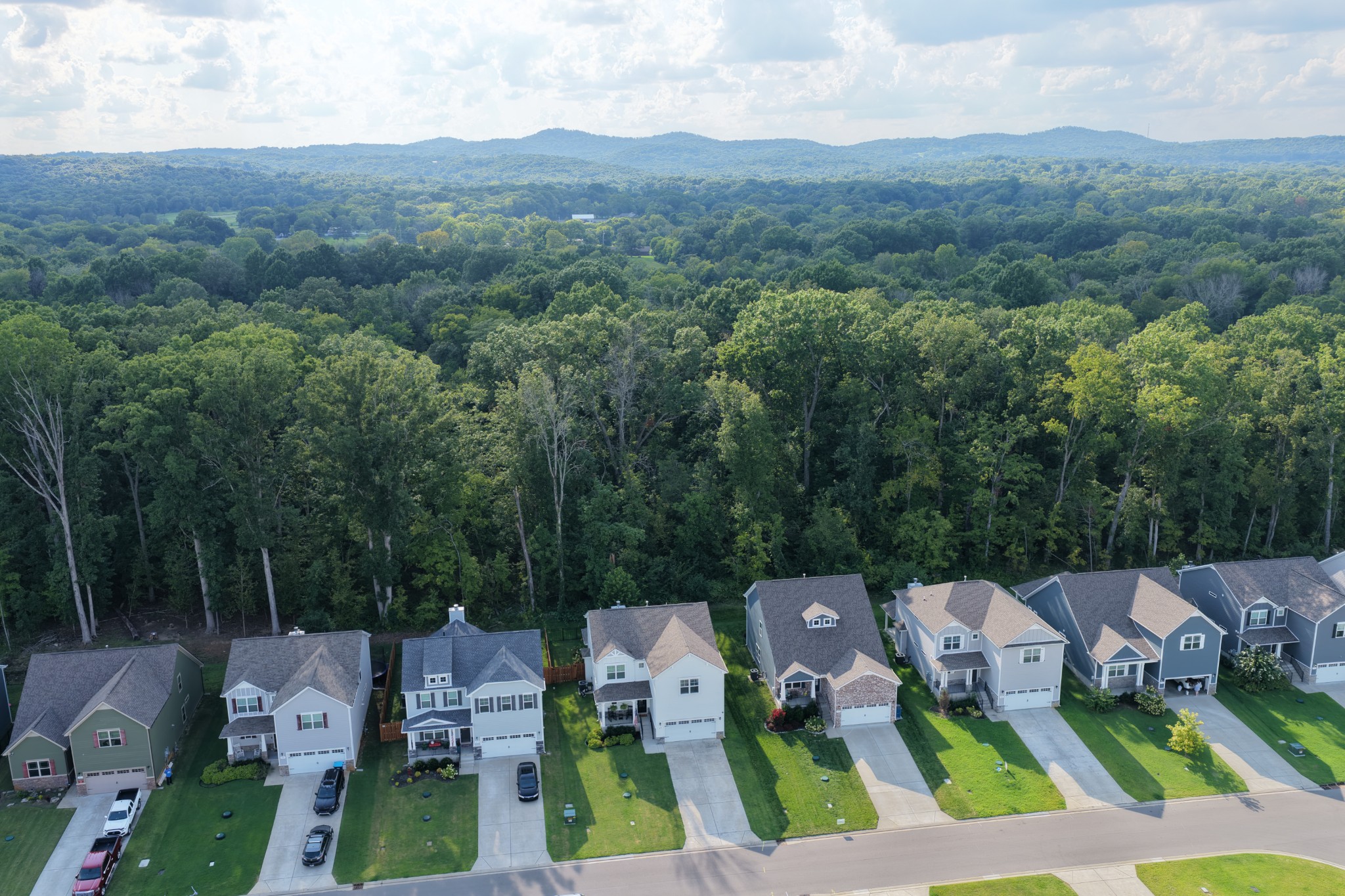1474 Cotillion Dr Property Photo 42