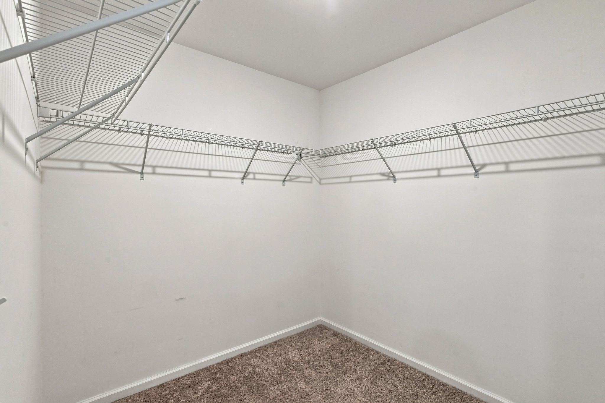 773 Coburg Street Property Photo 20