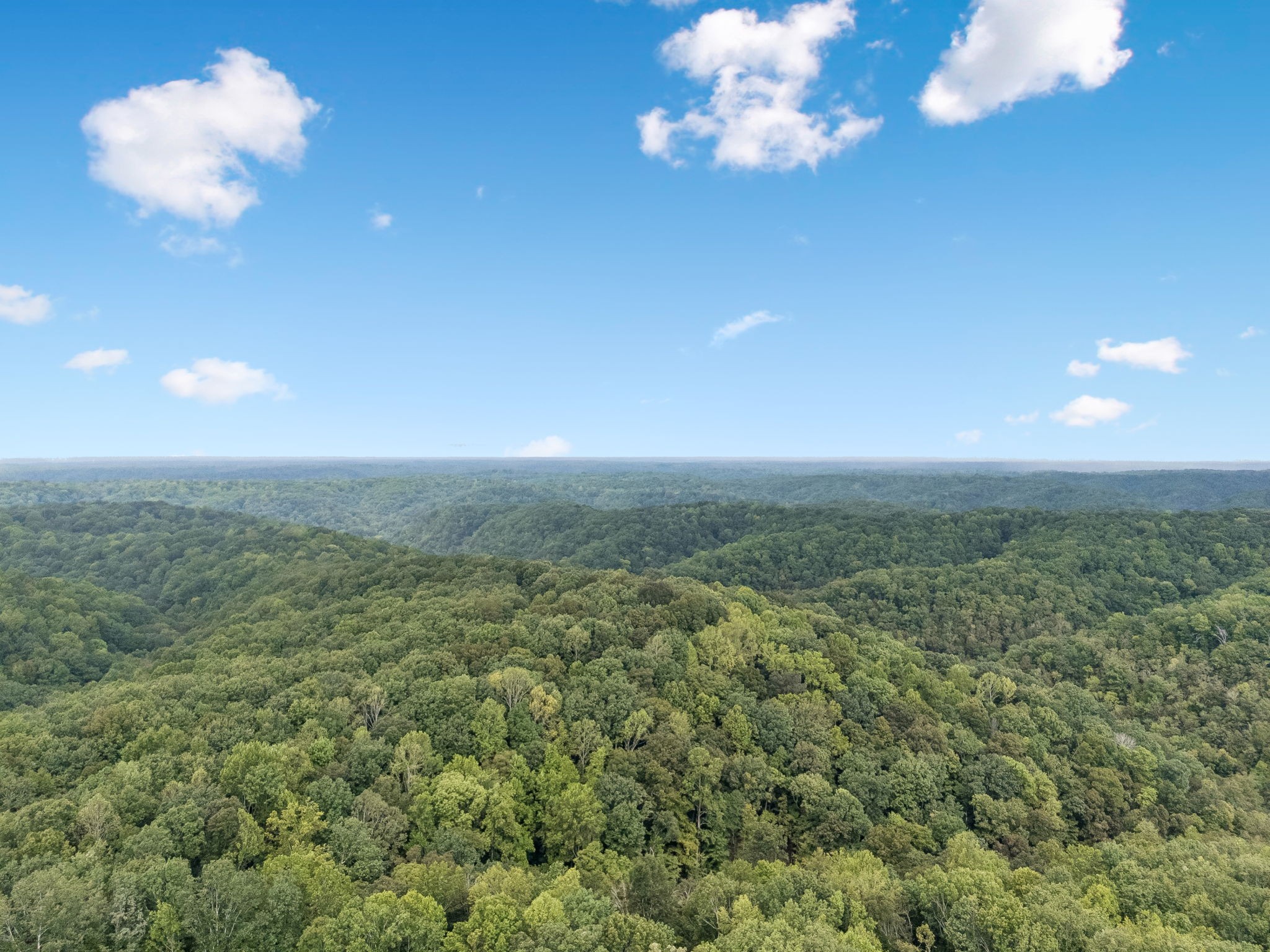 250 Kirby Hill Rd Property Photo 6