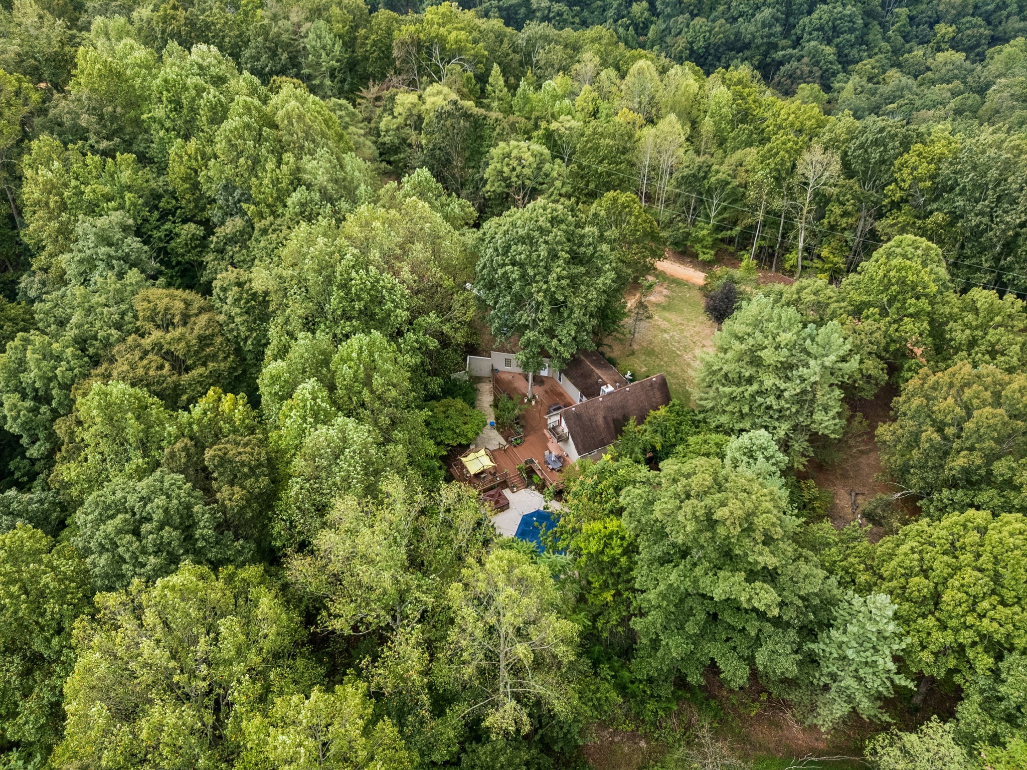 250 Kirby Hill Rd Property Photo 7