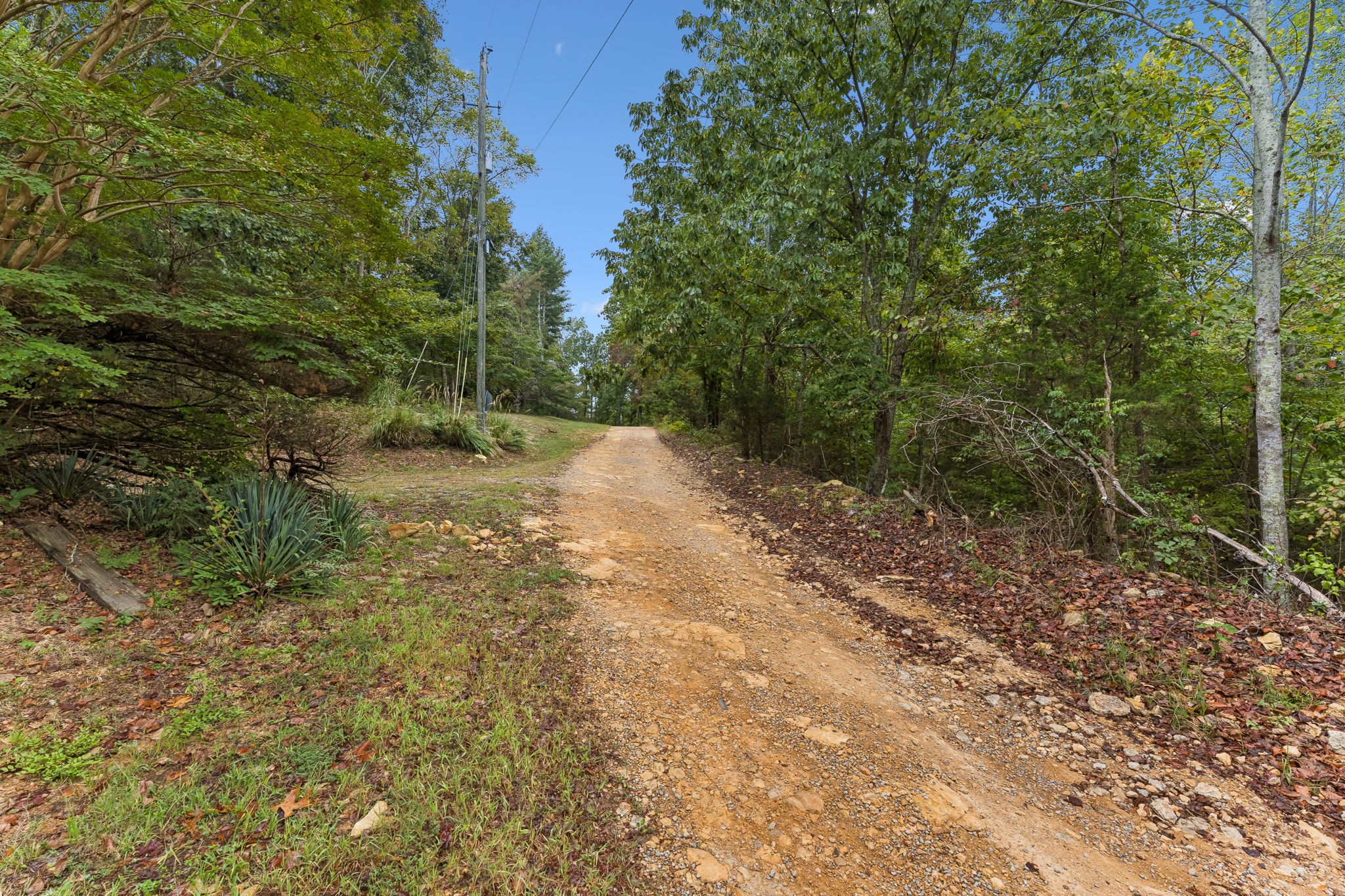 250 Kirby Hill Rd Property Photo 39