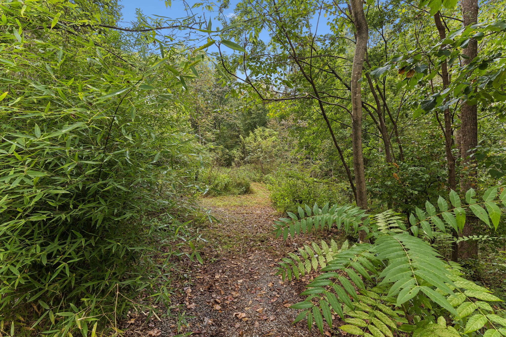 250 Kirby Hill Rd Property Photo 42