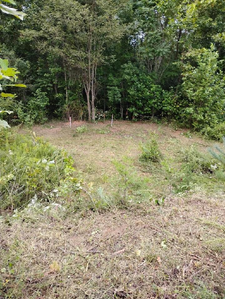 129 Lester Ledbetter Ln Property Photo 7