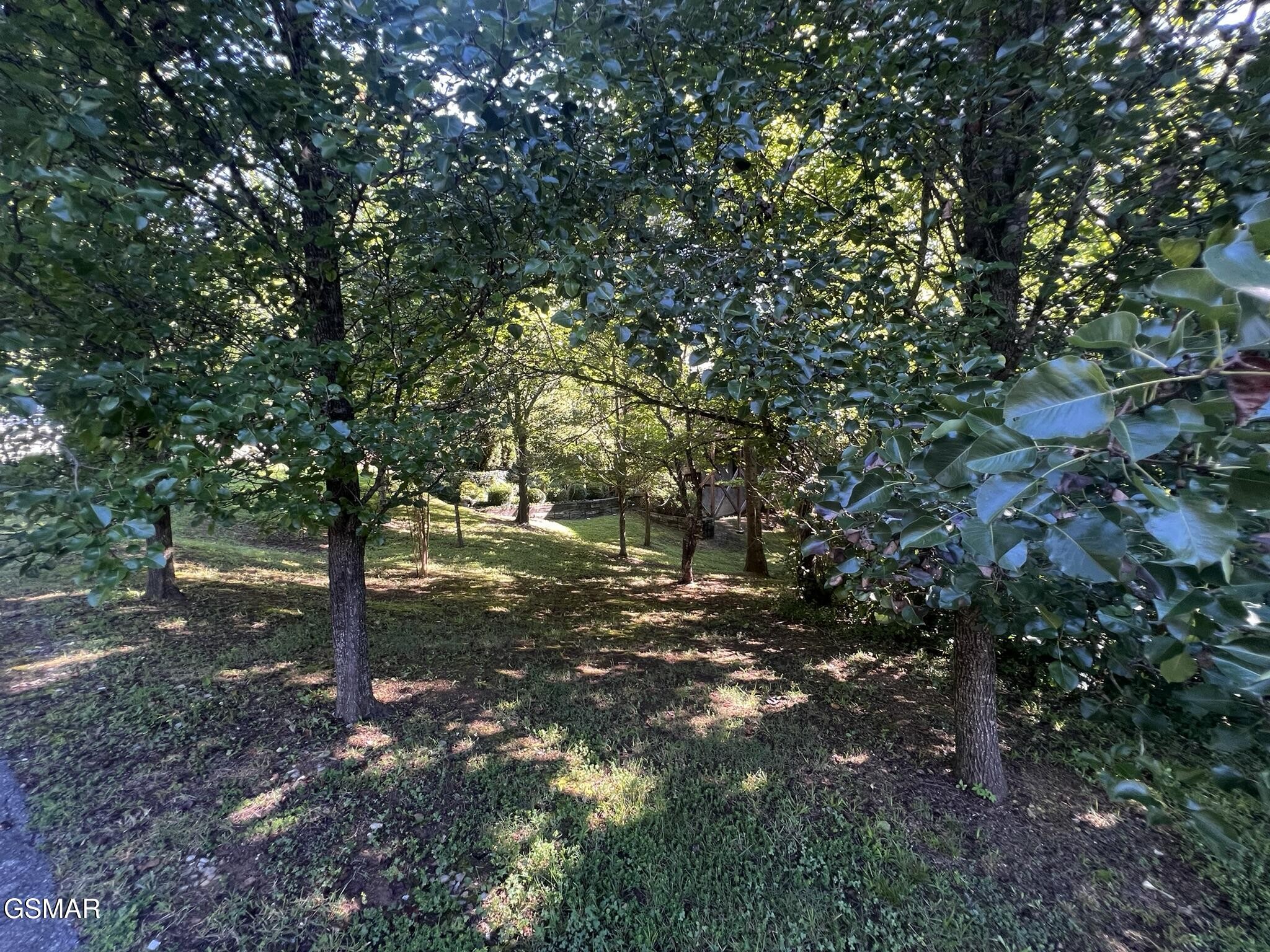 29 Scenic Woods Way Property Photo 1