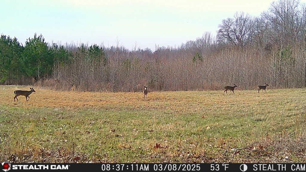 870 Price Rd Property Photo 21