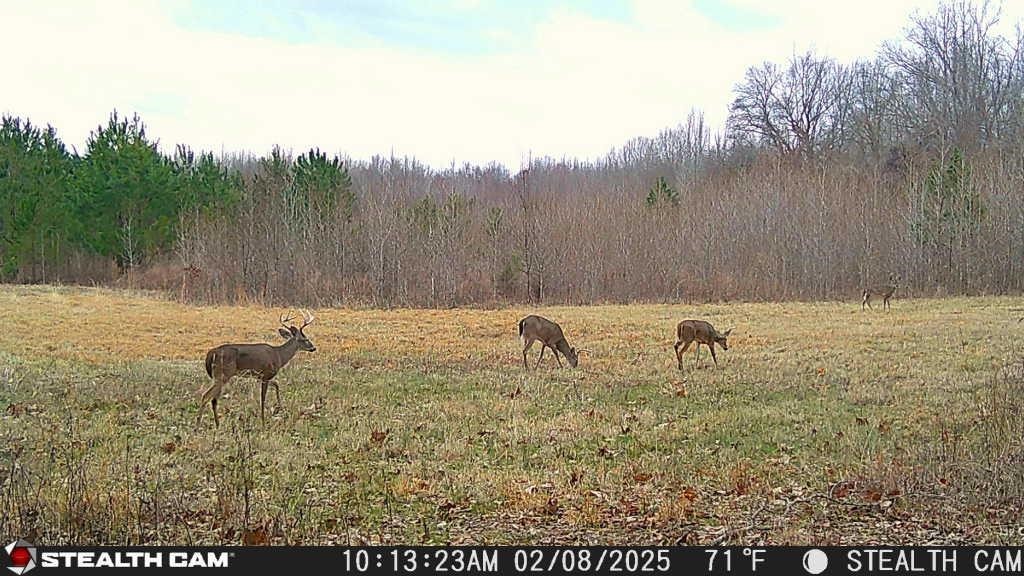 870 Price Rd Property Photo 24