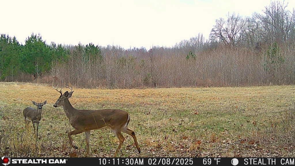 870 Price Rd Property Photo 25