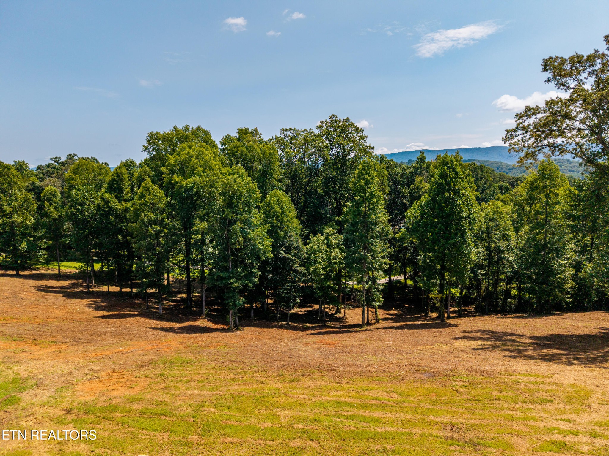 0 Little Best Rd Property Photo 1