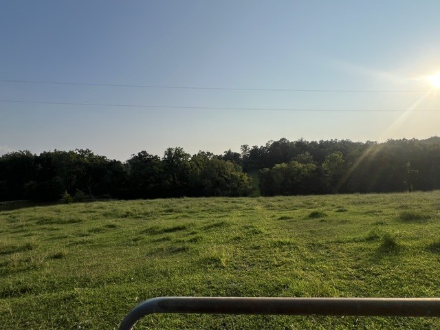 0 Wilkerson Road Property Photo 2