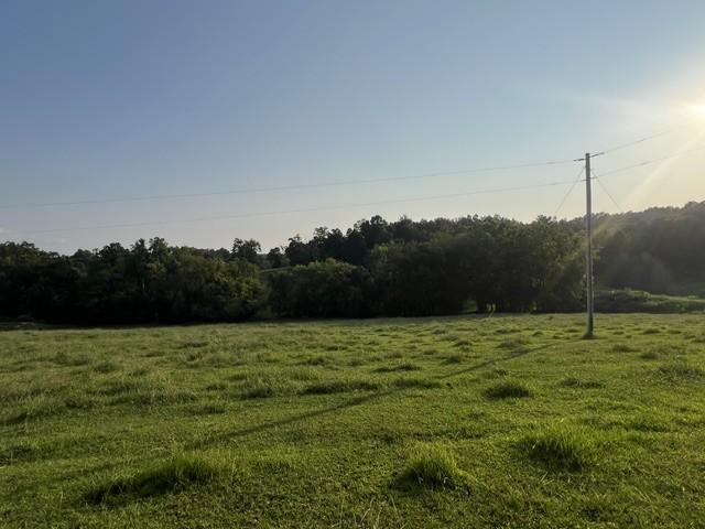 0 Wilkerson Road Property Photo 6