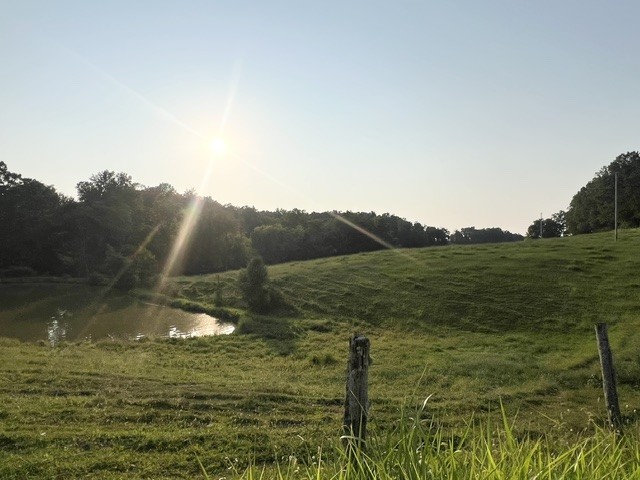 0 Wilkerson Road Property Photo 1