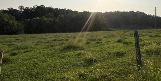 0 Wilkerson Road Property Photo 2