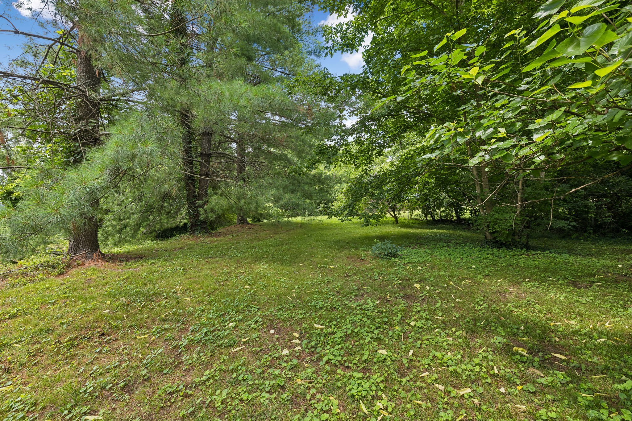 3829 Burrus St Property Photo 29