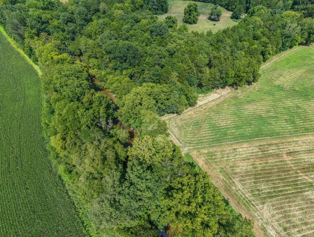 121 Wartrace Creek Rd Property Photo 75