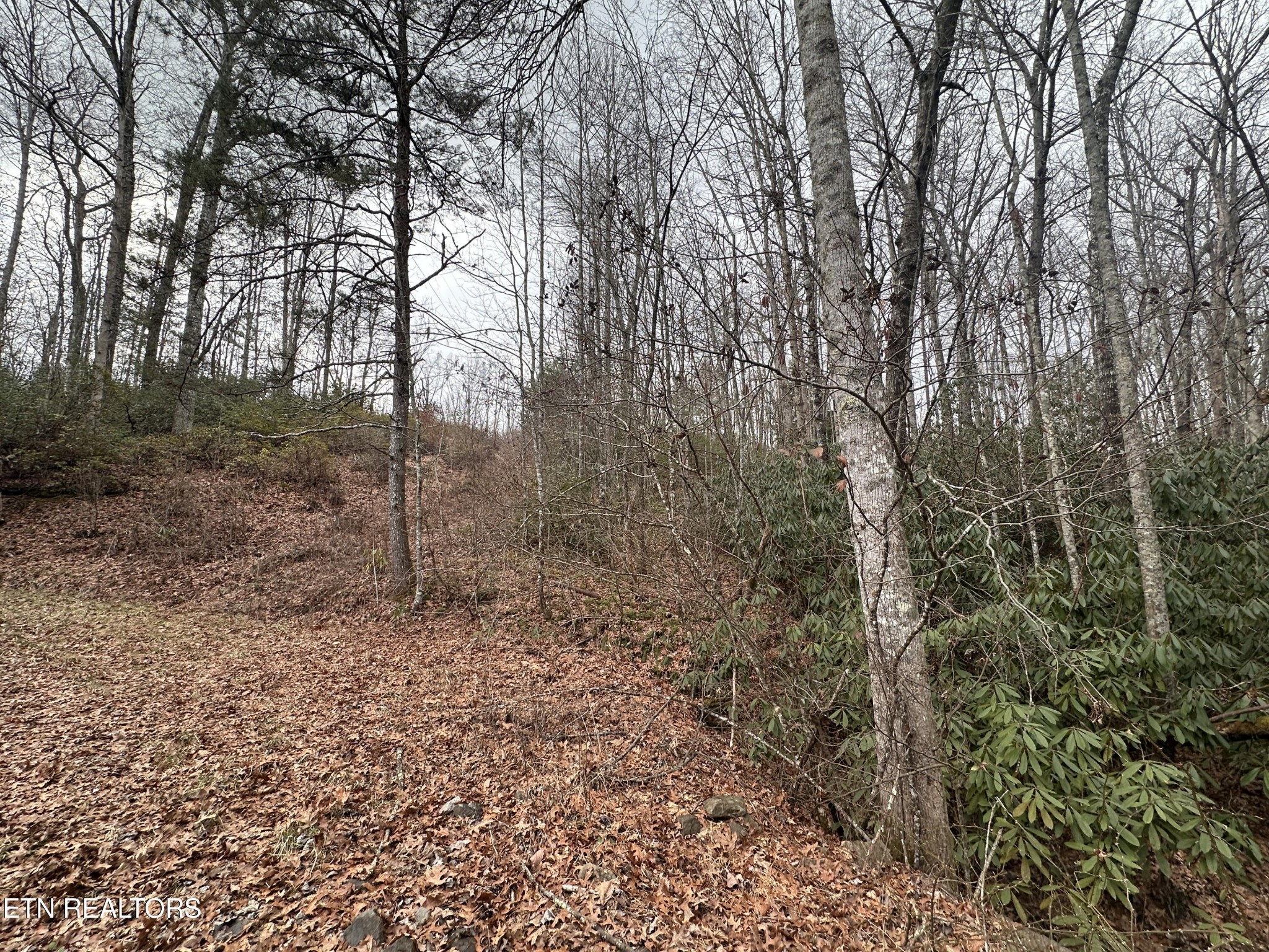 382 S Of Franklin Rd Property Photo 2