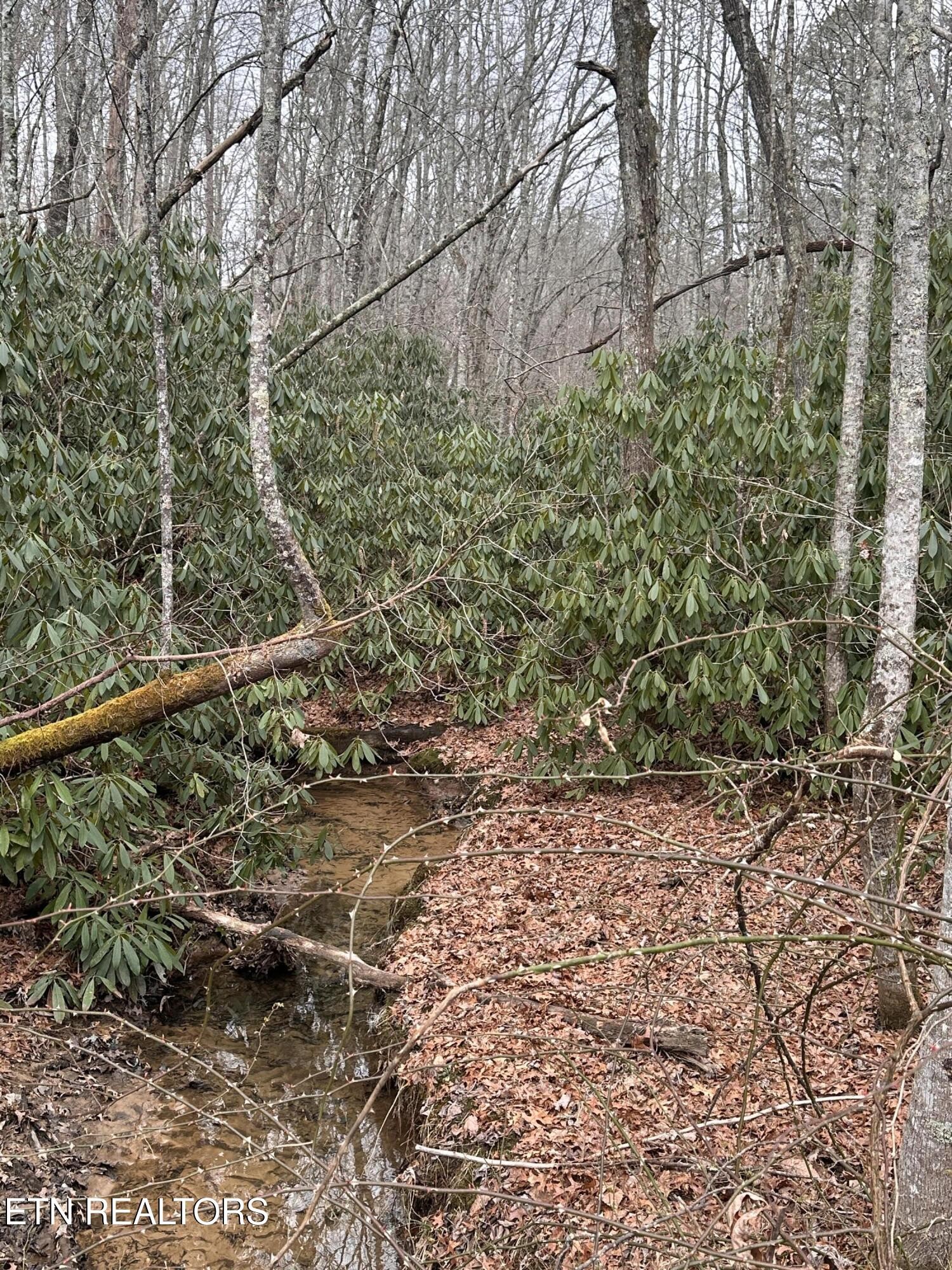 382 S Of Franklin Rd Property Photo 3