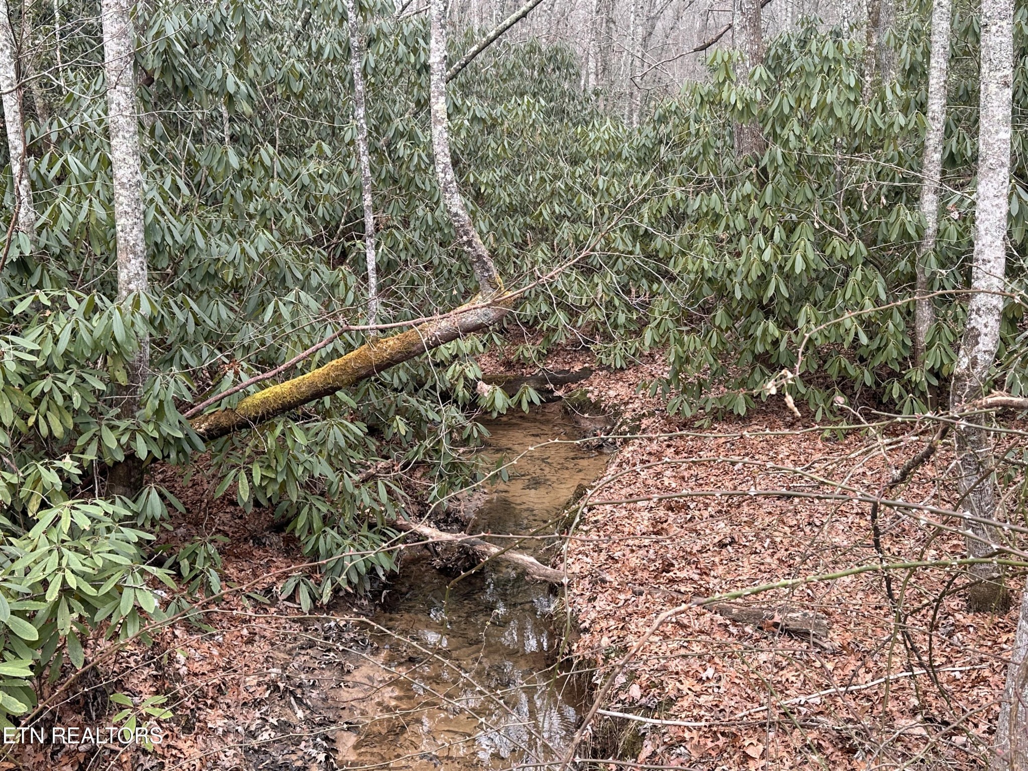 382 S Of Franklin Rd Property Photo 4