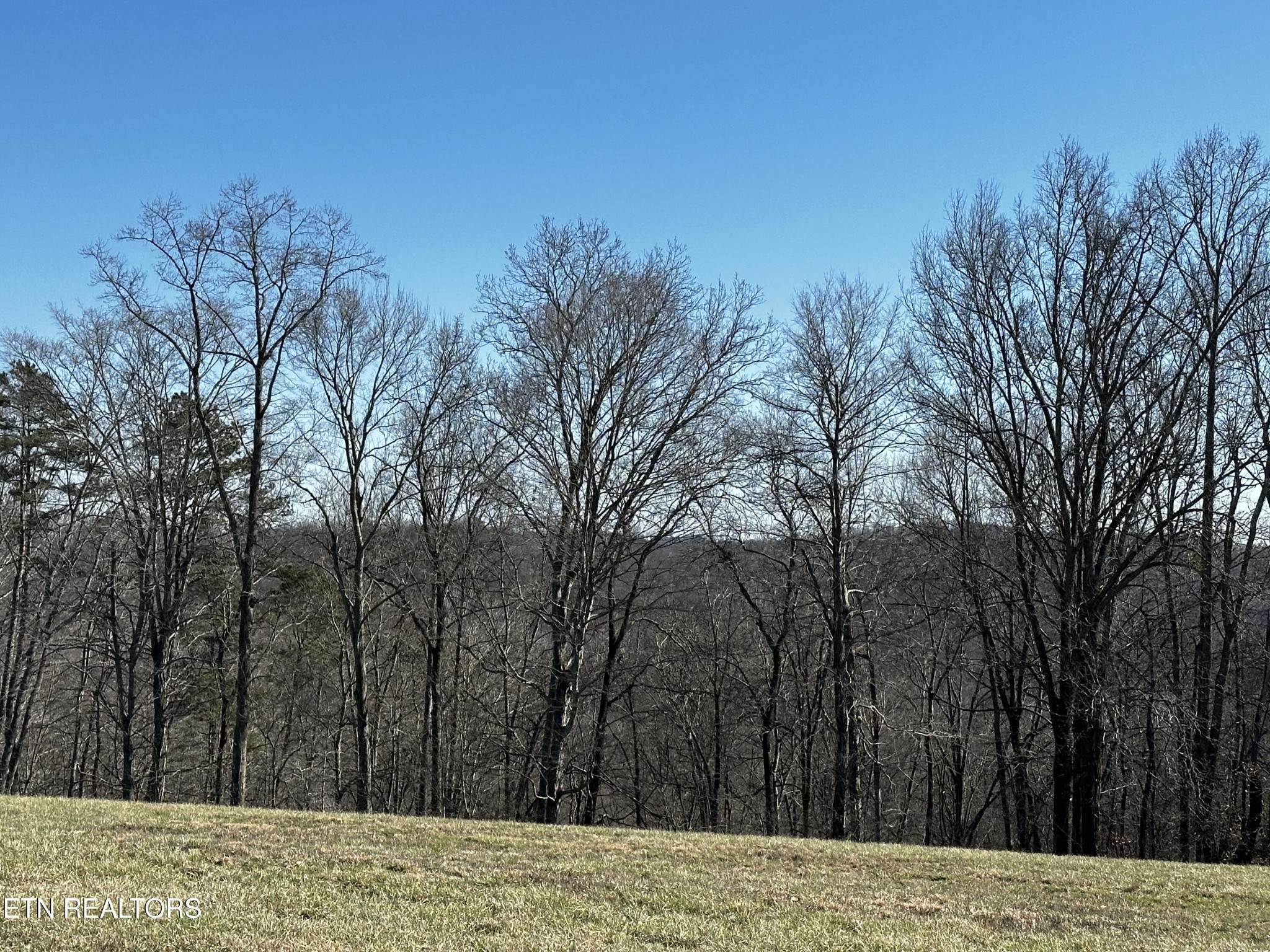 535 Prestige Ridge Property Photo 13
