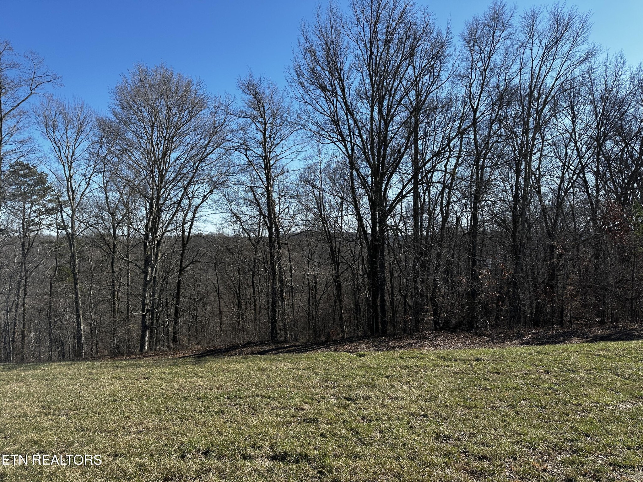 535 Prestige Ridge Property Photo 22