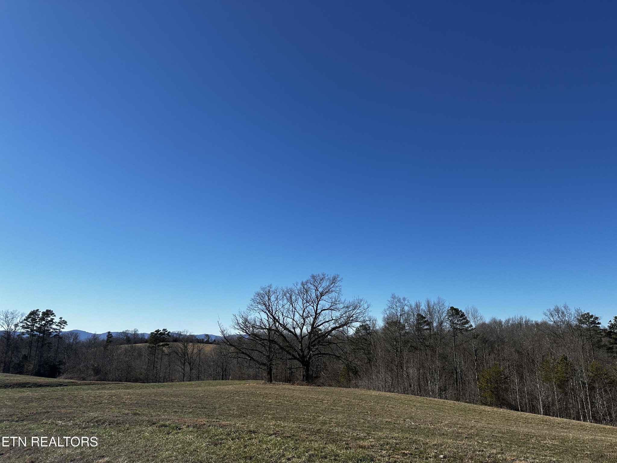 535 Prestige Ridge Property Photo 30