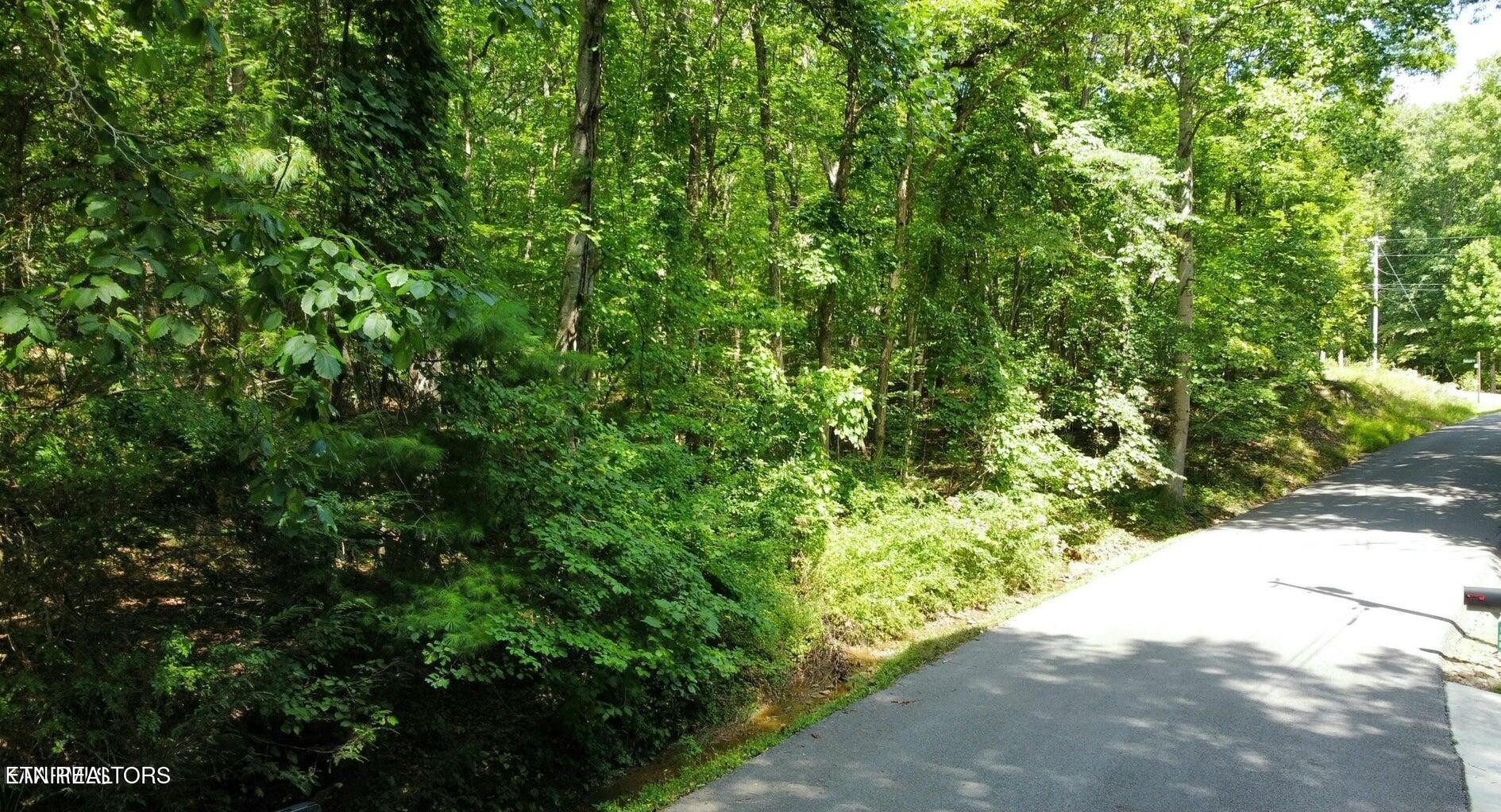 159 Sugarbush Circle Property Photo 2