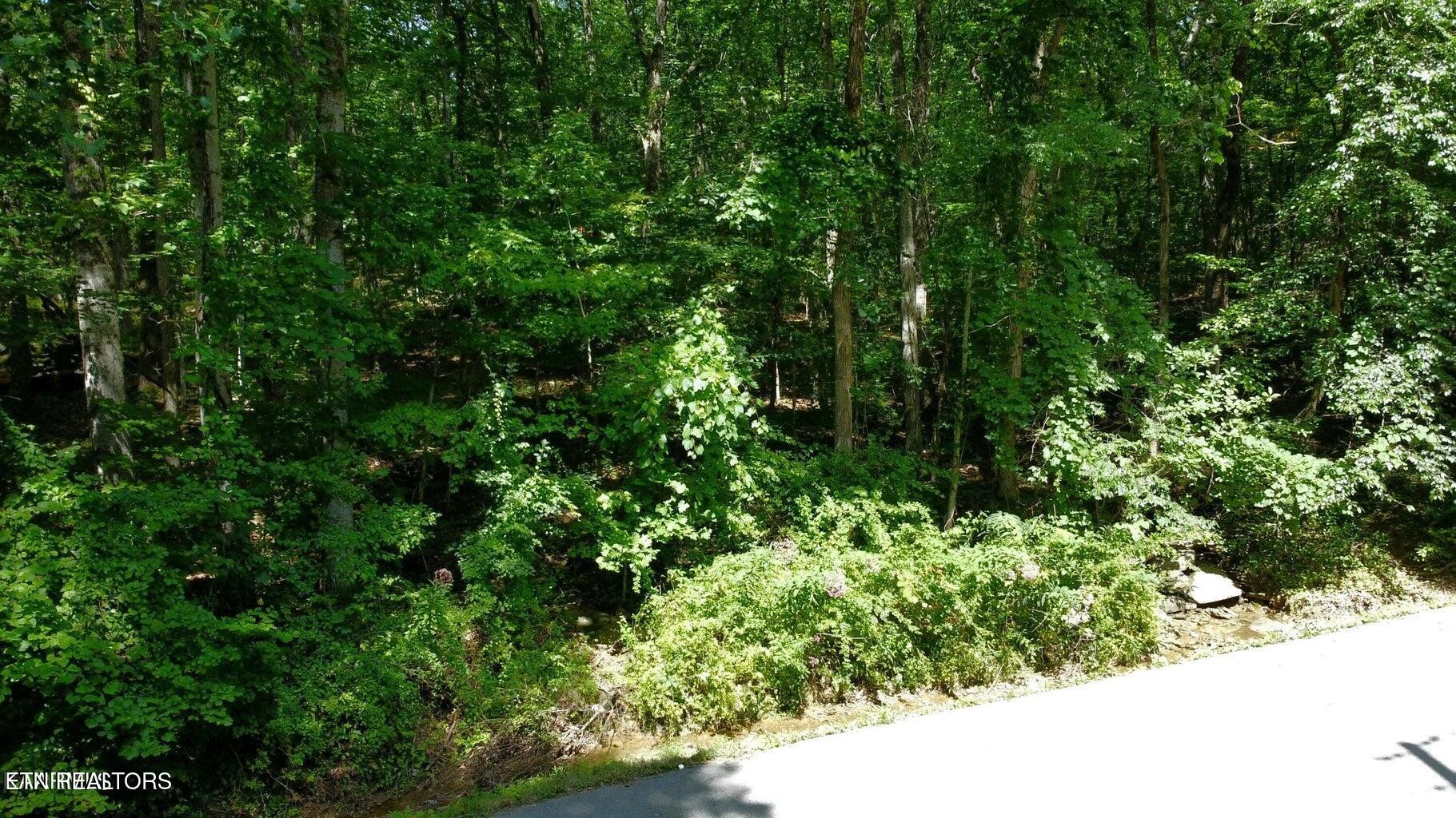 159 Sugarbush Circle Property Photo 3