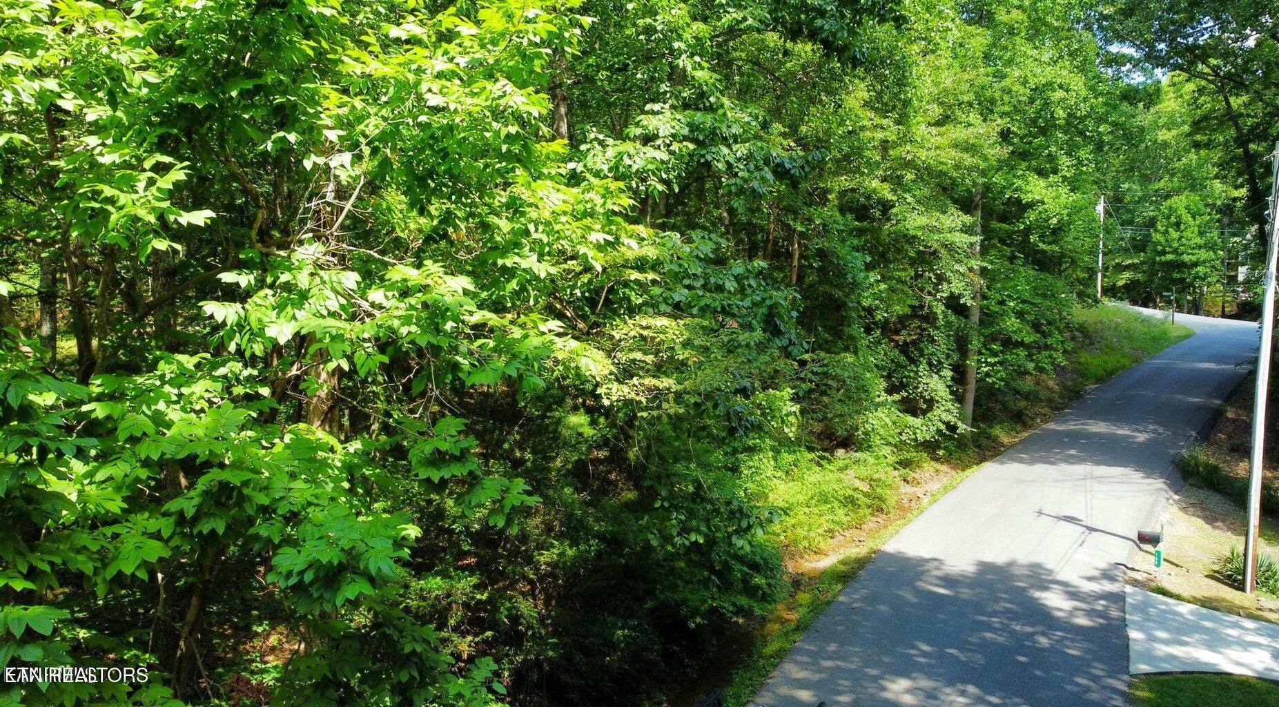 159 Sugarbush Circle Property Photo 5