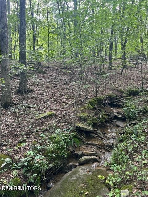 159 Sugarbush Circle Property Photo 7