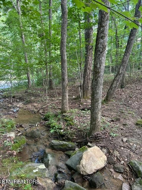 159 Sugarbush Circle Property Photo 8