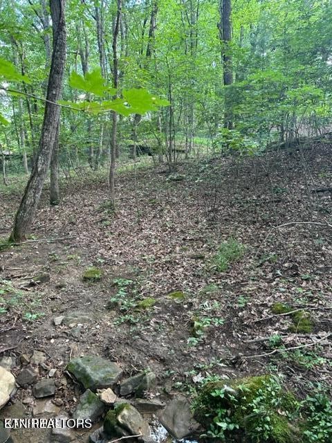 159 Sugarbush Circle Property Photo 9