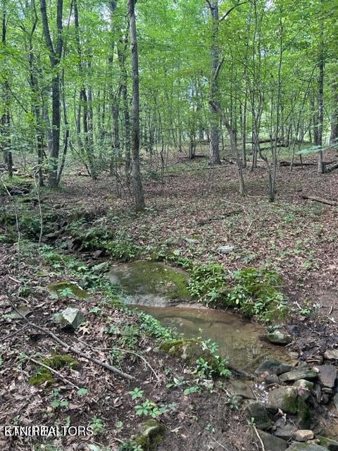 159 Sugarbush Circle Property Photo 10