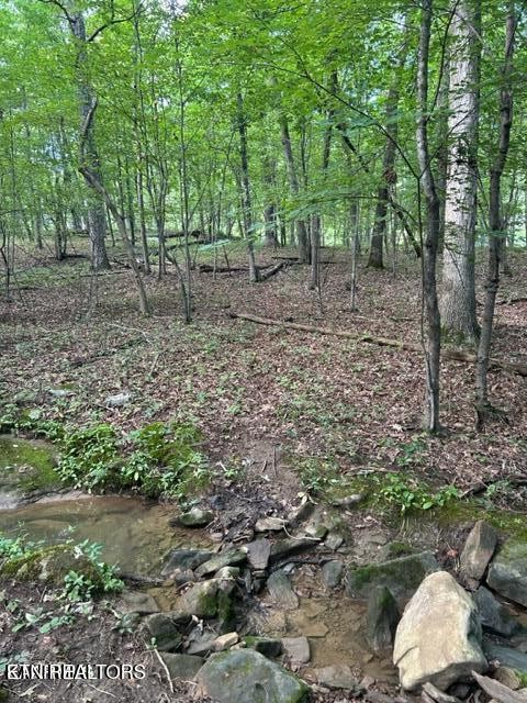 159 Sugarbush Circle Property Photo 11