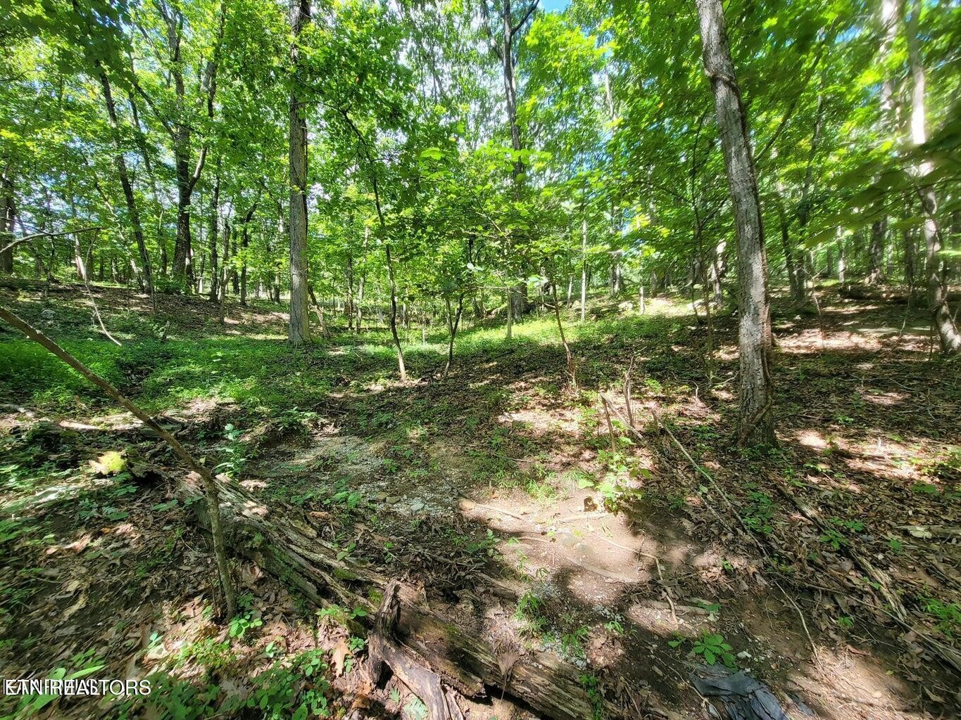 159 Sugarbush Circle Property Photo 12