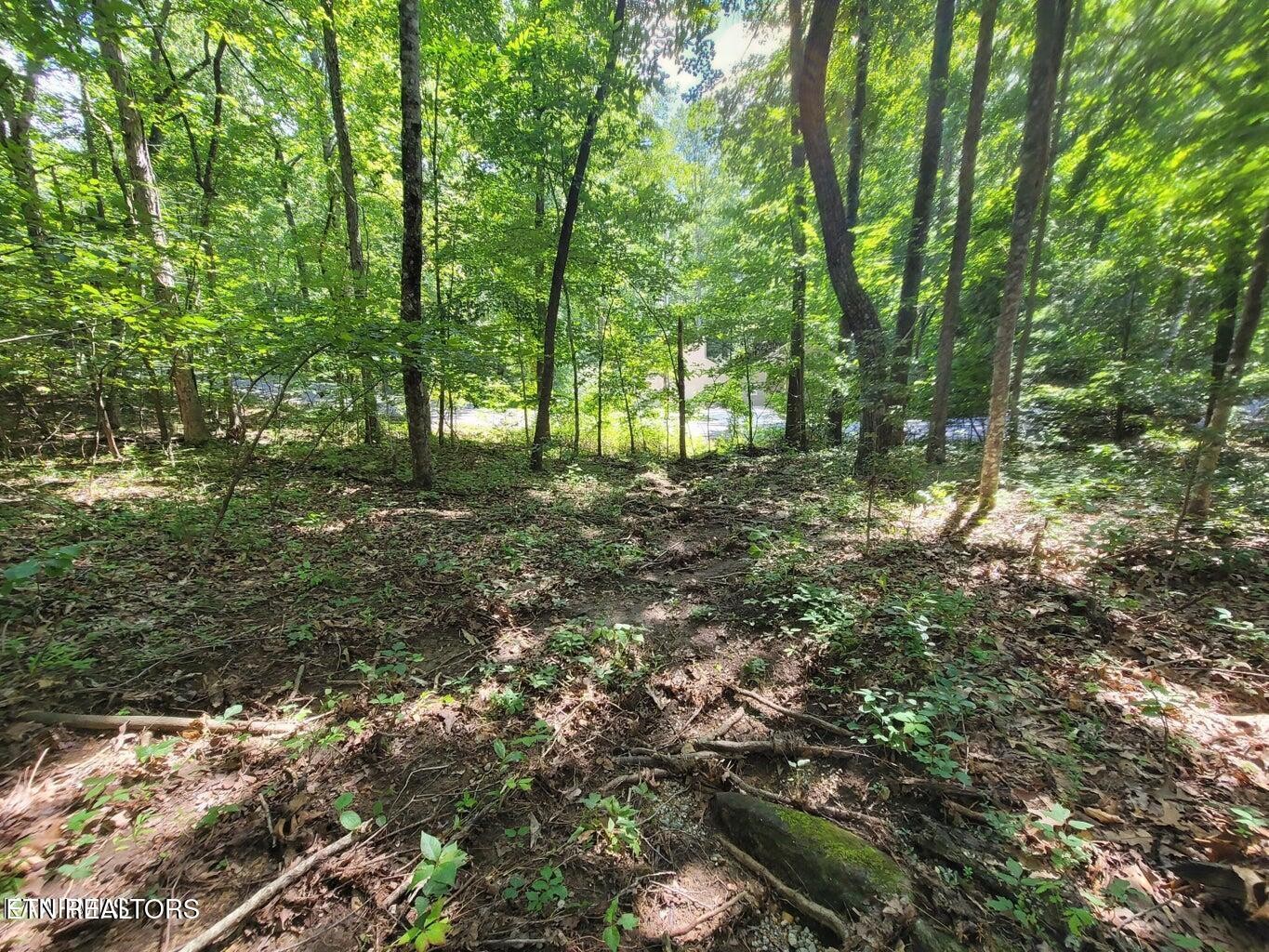159 Sugarbush Circle Property Photo 13