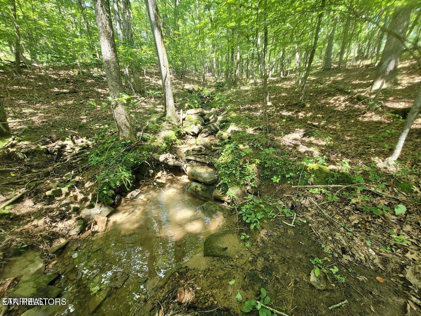 159 Sugarbush Circle Property Photo 14
