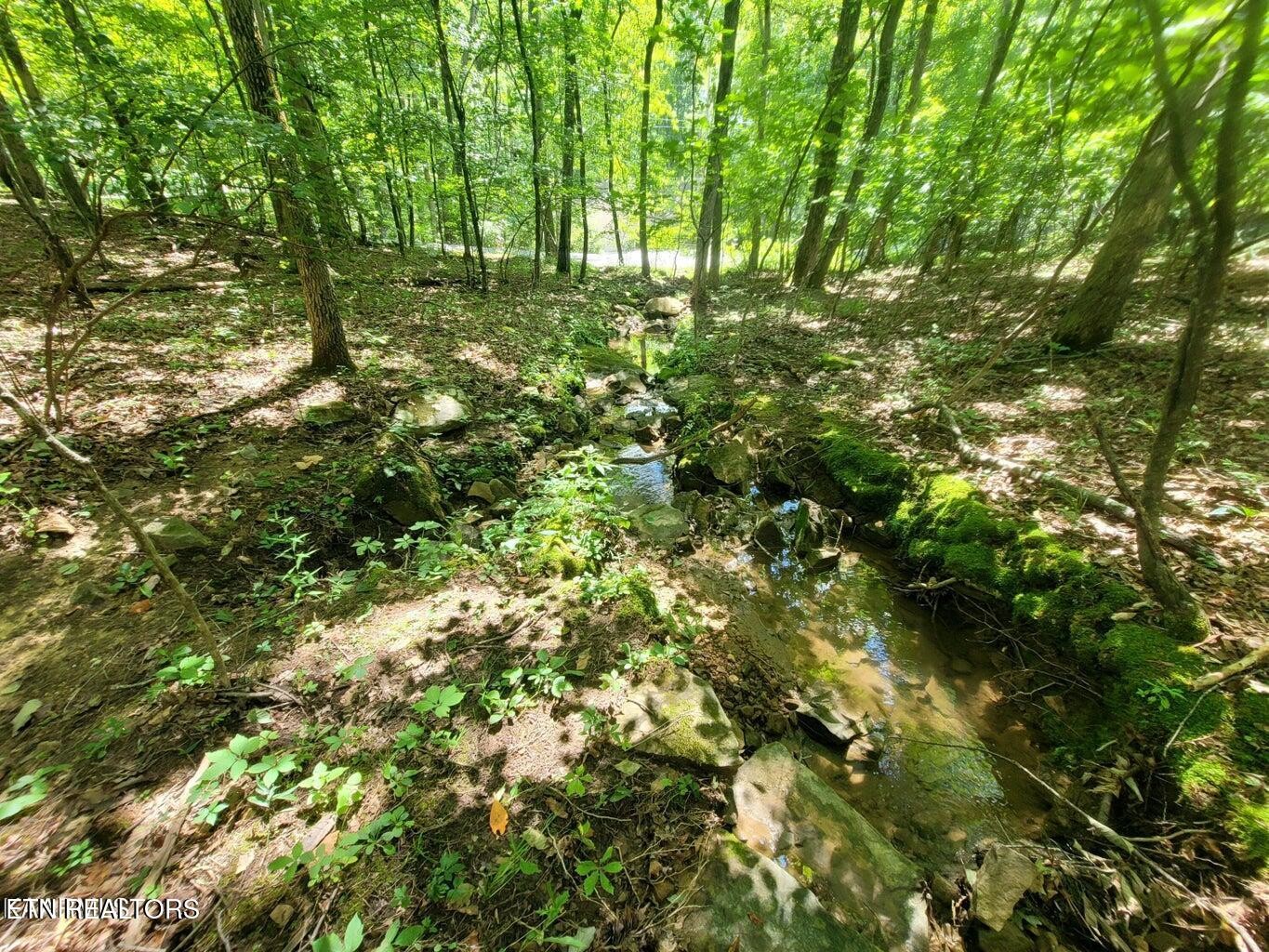 159 Sugarbush Circle Property Photo 15
