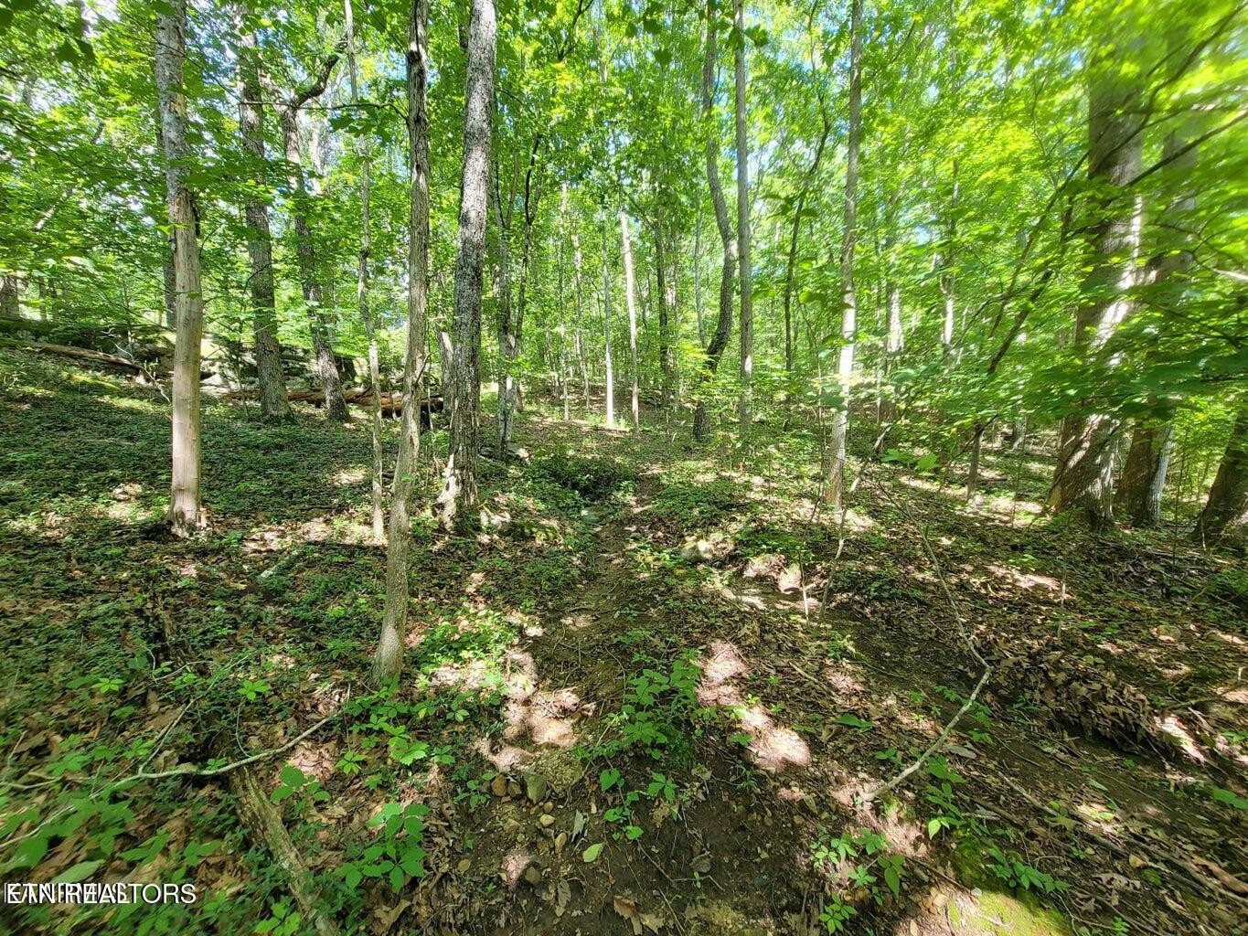 159 Sugarbush Circle Property Photo 17