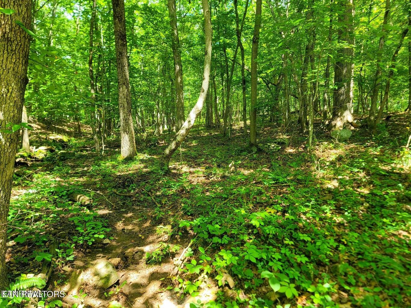 161 Sugarbush Circle Property Photo 1