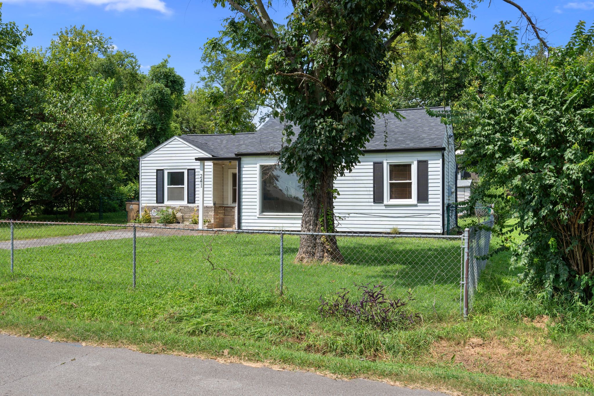 241 Wiley St Property Photo 2